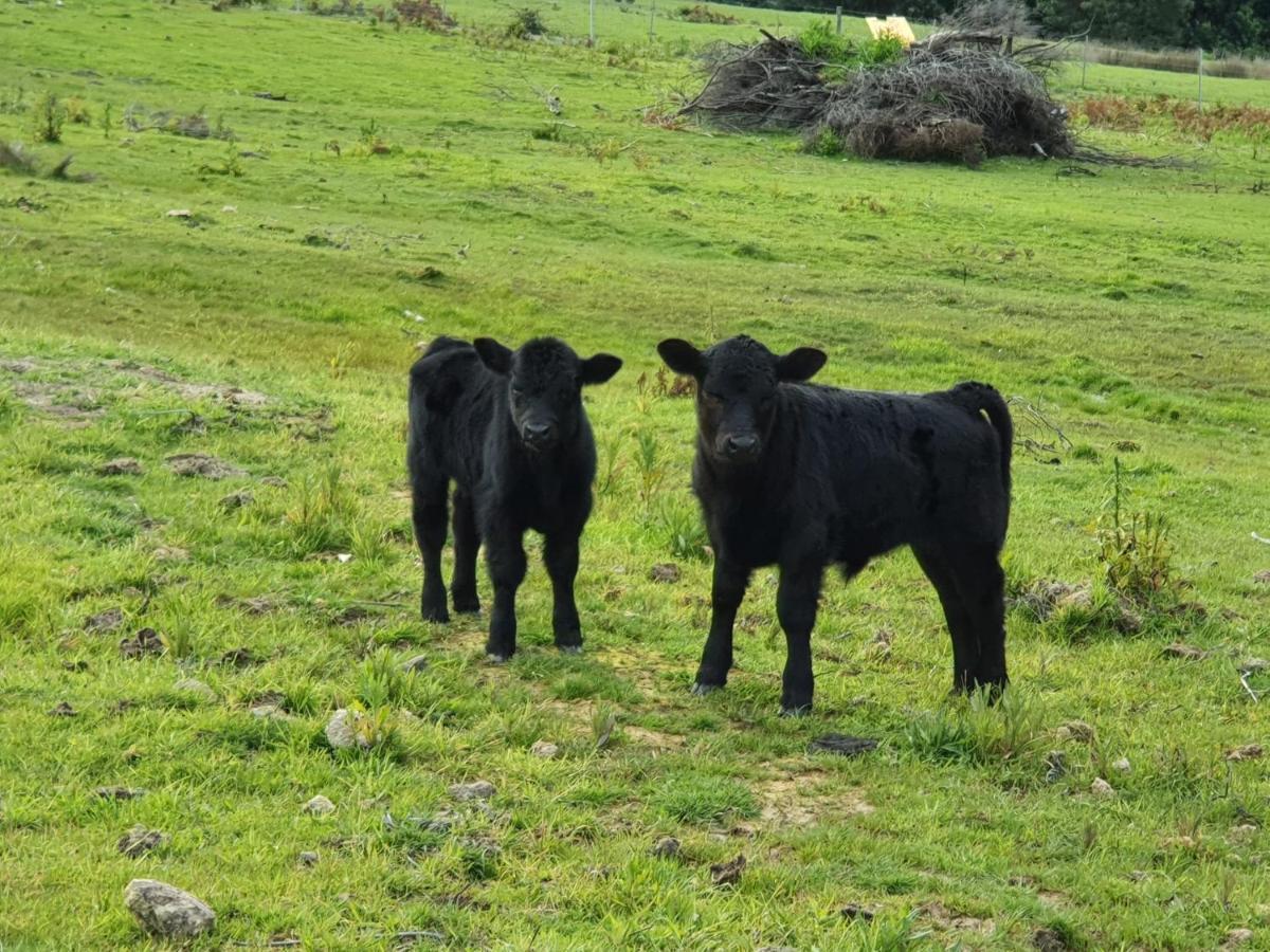 Ruby'S Cottage Farm Stay Порт-Артур Экстерьер фото