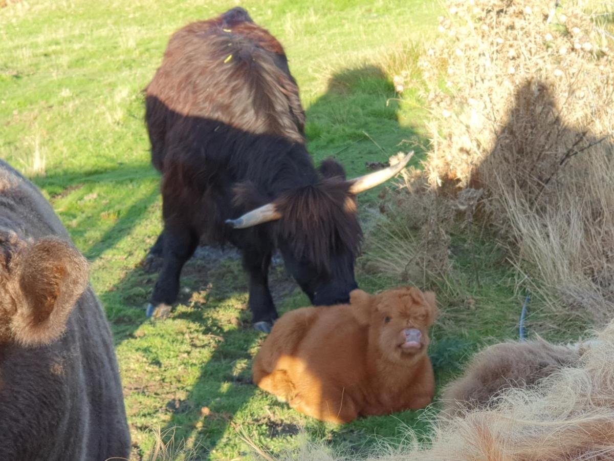 Ruby'S Cottage Farm Stay Порт-Артур Экстерьер фото