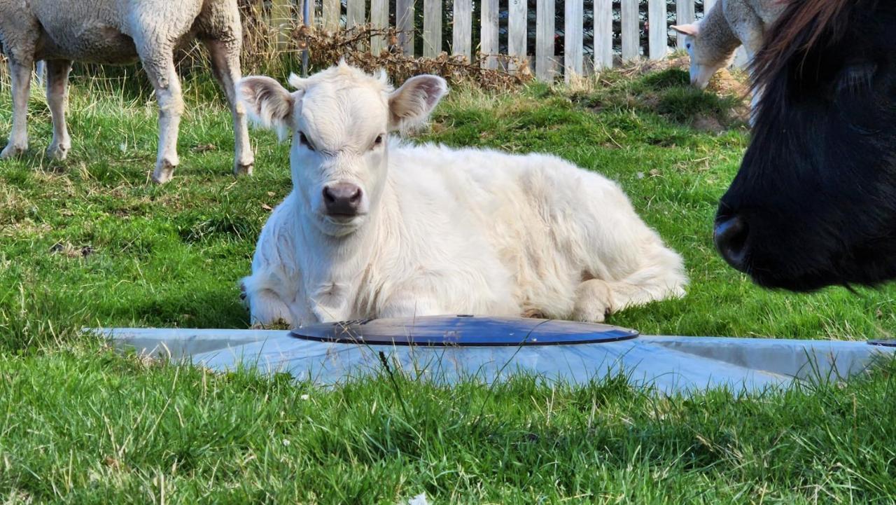Ruby'S Cottage Farm Stay Порт-Артур Экстерьер фото