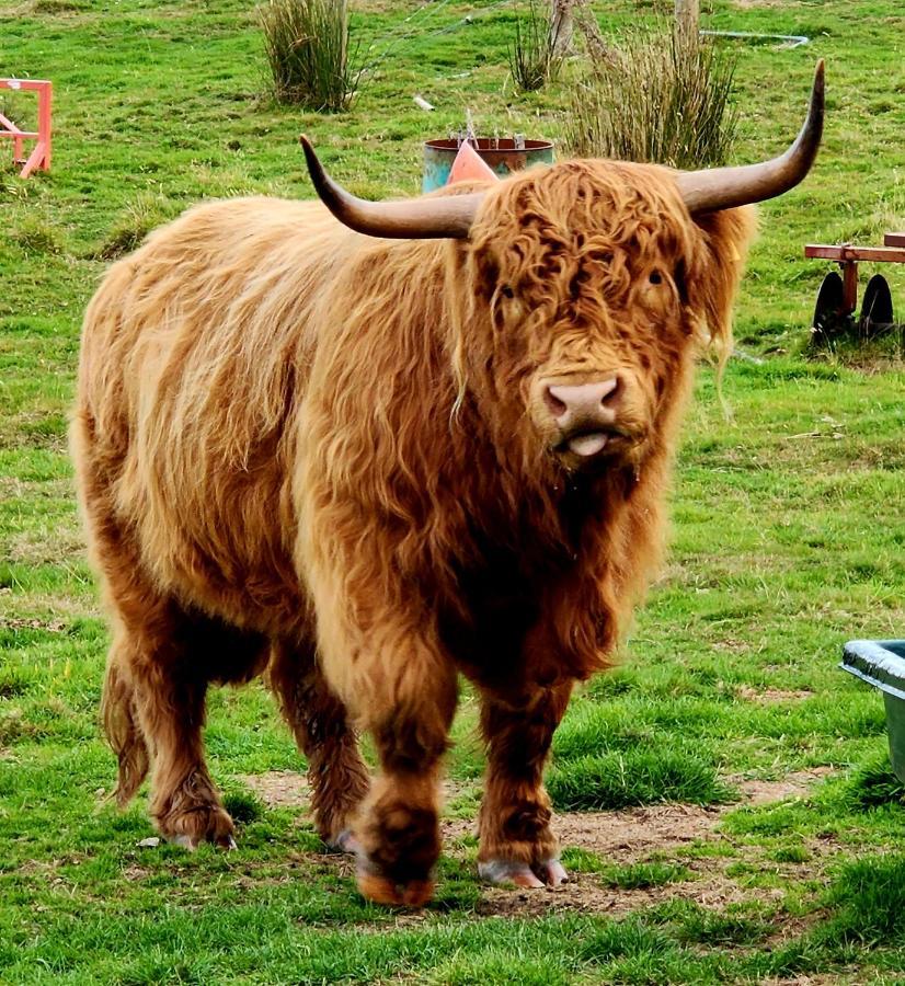 Ruby'S Cottage Farm Stay Порт-Артур Экстерьер фото
