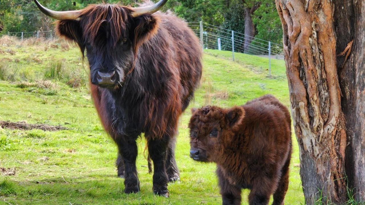 Ruby'S Cottage Farm Stay Порт-Артур Экстерьер фото
